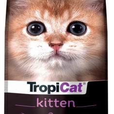 Hrana uscata pentru pisici junior TROPICAT KITTEN, 2 kg AnimaPet MegaFood