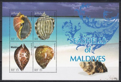 Maldive 2010 - Viața marină - Scoici din Maldive, Coliță, MNH foto