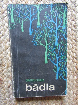 Badia Dumitru Corbea foto