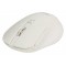 Mouse wireless Pisa Sweex