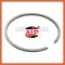 Segment 39mm x 1.5mm (AIP) - 2