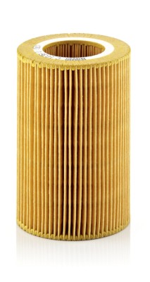 MANN-FILTER C 1036/1 Filtru aer foto