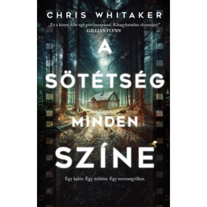 A s&ouml;t&eacute;ts&eacute;g minden sz&iacute;ne - Chris Whitaker