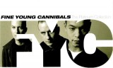 Fine Young Cannibals Platinum Collection (cd)