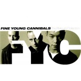 Fine Young Cannibals Platinum Collection (cd)