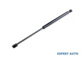 Amortizor haion Ford Focus (1998-2004) [DAW, DBW] #1