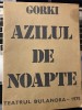 Catalog Azilul de noapte Gorki, Teatrul Bulandra 1975 regie Liviu Ciulei