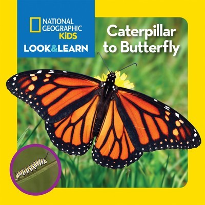 National Geographic Kids Look and Learn: Caterpillar to Butterfly foto