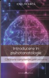 Ionel Mohirta - Introducere in psihotanatologie. Calatoria constientei prin