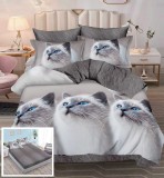 Cumpara ieftin Lenjerie Pat Bumbac 6 Piese cu Elastic 180x200 cm Ania Imprimeu Gri/Alb/Negru/Rosu/Albastru/Verde Clasy/Heinner/Vanora