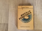 Jocul cu fericirea de Vasile Tincu