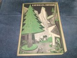 REVISTA DIMINEATA COPIILOR 28 FEBRUARIE 1940