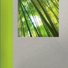 Lonely Planet Small Green Notebook - Bamboo | Lonely Planet