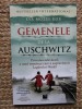 Gemenele de la Auschwitz - Eva Mozes Kor, Lisa Rojany Buccieri