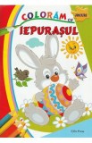 Coloram cu Iepurasul. Jocuri