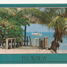 FA24-Carte Postala- SUA - Florida, circulata 1987