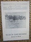 Pliant expozitie pictura TEODOR GHEORGHIAN