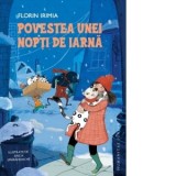 Povestea unei nopti de iarna - Florin Irimia