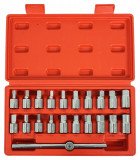 Set 21 chei speciale pentru busoane de ulei V86215 Verke