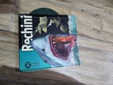 Rechini - Beverly McMillan, John A. Musick