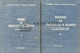 Cumpara ieftin Norme de protectie a muncii. Prevederi generale si pentru cinemaografie, teatre si institutii muzicale, circuri Vol. 1-2 (XE64)