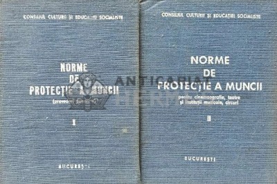 Norme de protectie a muncii. Prevederi generale si pentru cinemaografie, teatre si institutii muzicale, circuri Vol. 1-2 (XE64) foto