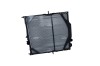 NRF 529702 Radiator, racire motor