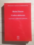 Michel Vincent - A &icirc;ndura adolescența. Lucrul clinic cu adolescenții și părinții lor