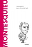 Cumpara ieftin Montesquieu. Volumul 53. Descopera Filosofia