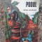 PODUL-ALEXANDRU VERGU
