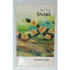 YOUR FIRST SNAKE by ELIZABETH WALKER , 1999