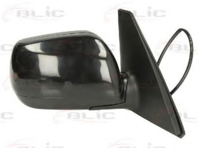 Oglinda exterioara TOYOTA RAV 4 II (CLA2, XA2, ZCA2, ACA2) (2000 - 2005) BLIC 5402-04-9922993P foto