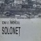 Solonet - 1995 - Ioan V. Rachieru (P44)