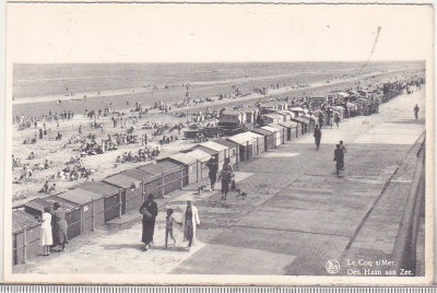 bnk cp Belgia - Den Haan - circulata foto