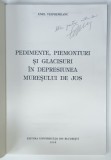 PEDIMENTE , PIEMEONTURI SI GLACISURI IN DEPRESIUNEA MURESULUI DE JOS de EMIL VESPREMEANU , 1998 ,. DEDICATIE *
