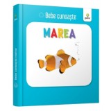 Bebe cunoaste: Marea