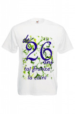 TRICOU IMPRIMEU FUNNY DE 26 ANI TAI FRUNZE LA CAINI, tricou haios aniversare foto