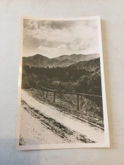 Baia Sprie Maramures 1942 foto