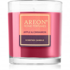 Areon Scented Candle Apple & Cinnamon lumânare parfumată 120 g