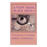 A View from Black Mesa