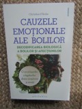 Cauzele emotionale ale bolilor - Christian Fleche