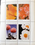 Gairsay Islands plante, flori, flora serie 4v. bloc ,mnh, Nestampilat