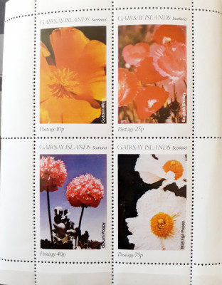 Gairsay Islands plante, flori, flora serie 4v. bloc ,mnh foto