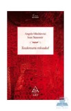 Teodoreanu reloaded - Angelo Mitchievici, Ioan Stanomir - Grupul Art