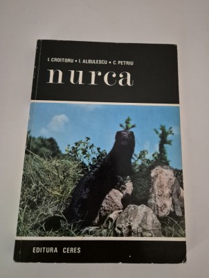 I Croitoru Nurca foto