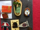 INSIGNE VINTAGE , 35 lei bucata, interesante