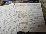 Manuscris Eugen Goga