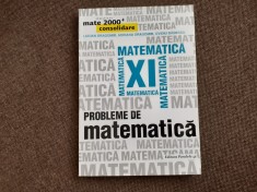 PROBLEME DE MATEMATICA PENTRU CLASA A XI A LUCIAN DRAGOMIR