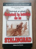 Infranti si uitati - Romanii in batalia de la Stalingrad - Mihail Vasile-Ozunu Petre Otu