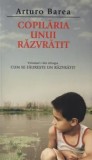 Cumpara ieftin Copilaria unui razvratit. Volumul I din trilogia Cum se faureste un razvratit/Arturo Barea, Rao